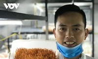 Para Pemuda yang Melakukan Usaha  Startup di Bidang Pertanian