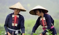 Lestarikan Keindahan Busana Warga Etnis Minoritas Cao Lan di Provinsi Quang Ninh