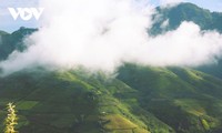 Sawah Terasering Berikan Cukup Sandang, Cukup Pangan