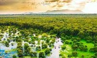 Perkenalkan sepintas tentang Hutan Kayu Putih Tra Su serta Pembangkit Listrik Tenaga Air Lai Chau