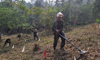 Bekerja Sama Internasional untuk Memperkuat Kemampuan bagi Pasukan Penanganan Polusi Bom dan Ranjau