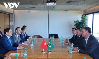 PM Pham Minh Chinh Menerima Menteri Pertanian Brasil dan Hadiri Upacara Penyaksian Kontainer Daging Sapi Brasil Pertama yang Diekspor ke Vietnam