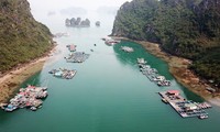 Les  nouvelles sirènes de la baie d’Halong