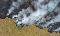 Quand le poumon de la planète continue de brûler