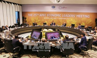 APEC 2017: rehausser la position vietnamienne dans l’arène internationale