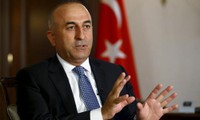 Turkey calls for a campaign against IS 