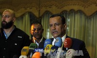 UN proposes new political roadmap for Yemen