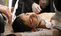 Syria ready to observe ceasefire if chemical attack is investigated