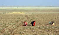 Syria joins Paris Agreement on climate change