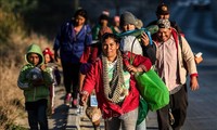  More countries withdraw from UN migration pact 