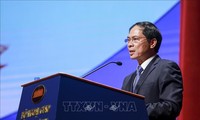 Vietnam pushes South-South Cooperation