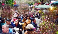 Hanoi’s flower markets vibrant ahead of Tet