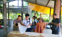 Visiting a noodle factory in the Mekong Delta