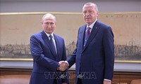 Russia affirms cooperation with Turkey over Syria issue 