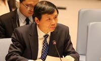 Vietnam attends UNSC online meeting on protecting civilians from conflict-induced hunger