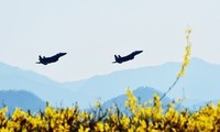 South Korea, US hold joint air exercises