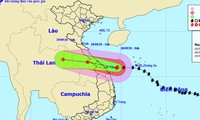 Storm Noul makes landfall in central region