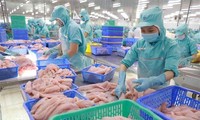 Vietnam’s aquatic product exports projected to reach 8.4 billion USD