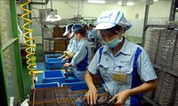 Vietnam’s exports rise sharply in 2021