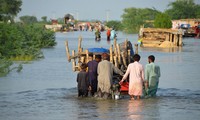 COP27: Developing countries cannot cope with climate change