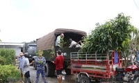 Navy Region 4 receives 15,000 seedlings to send to Truong Sa