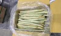 Second batch of fresh sugarcane to be ship to US