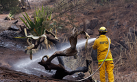 After Maui wildfires kill 93: Prayers, and a search for the missing