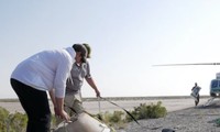 NASA asteroid sample parachutes safely onto Utah desert