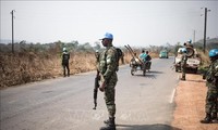 Security Council condemns deadly attack on UN mission in Central African Republic