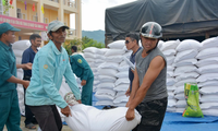 Over 12,700 tonnes of rice to be given to people during Tet, between-crop period