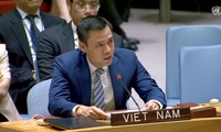 Vietnam backs UNSC’s role in addressing global cyber security challenges