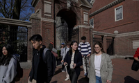 Judge temporarily blocks Trump admin from revoking Harvard enrollment of foreign students