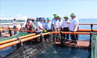 Khanh Hoa advances high-tech marine farming