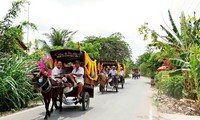 Year of the Horse: Horse carriage rides on Thoi Son islet