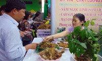 Pembukaan Pesta Ginseng Ngoc Linh ke-3 tahun 2019