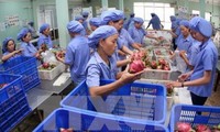 Surplus  perdagangan hasil pertanian, kehutanan dan perikanan Vietnam mencapai lebih dari 6 miliar USD