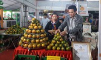 Pekan Jeruk Keprok dan produk OCOP Provinsi Ha Giang di Kota Hanoi