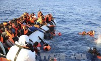 Ada 11 orang tewas dalam perahu yang tenggelam di lepas pantai Turki