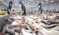 Tarif anti-dumping terhadap ikan patin dari Vietnam ke AS turun