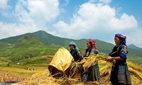 Evaluasi lima tahun program pengembangan perdagangan daerah pegunungan, daerah pedalaman, daerah terpencil, dan pulau-pulau