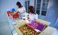 Vietnam Adalah Mitra Ekonomi Australia yang Sempurna