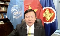 Vietnam Imbau supaya Memperkuat Perlindungan Anak-Anak dalam Konflik Bersenjata dari Dampak Pandemi Covid-19