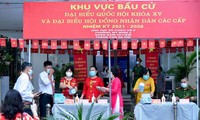 Sahabat Internasional Percaya pada Jalan Pengembangan Baru yang Ditempuh Vietnam