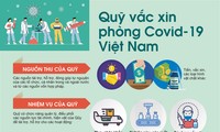 Perkenalan Sepintas tentang Mangga Vietnam dan Dana Vaksin Covid-19 di Vietnam