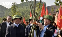 Ketua MN: Orang yang Melakukan Reboisasi Harus Bisa Hidup dari Hutan dan Menjadi Kaya dari Hutan