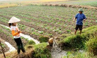 Vietnam bemüht sich um eine schnelle und nachhaltige Armutsminderung