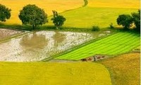 Verbesserung des Ansehens ländlicher vietnamesischer Gebiete