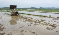 Straßenbau in der nordvietnamesischen Provinz Tuyen Quang