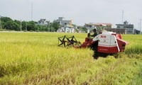 Gemeinde Ayun Ha, ein Vorbild bei der Neugestaltung ländlicher Räume in Gia Lai