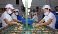 Vietnam beteiligt sich an TPP-Verhandlungsrunde